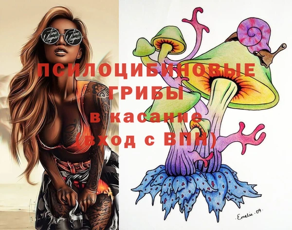 spice Абинск