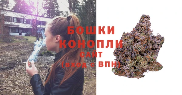 прущий лед Рославль
