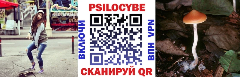 Псилоцибиновые грибы MAGIC MUSHROOMS  Суджа 